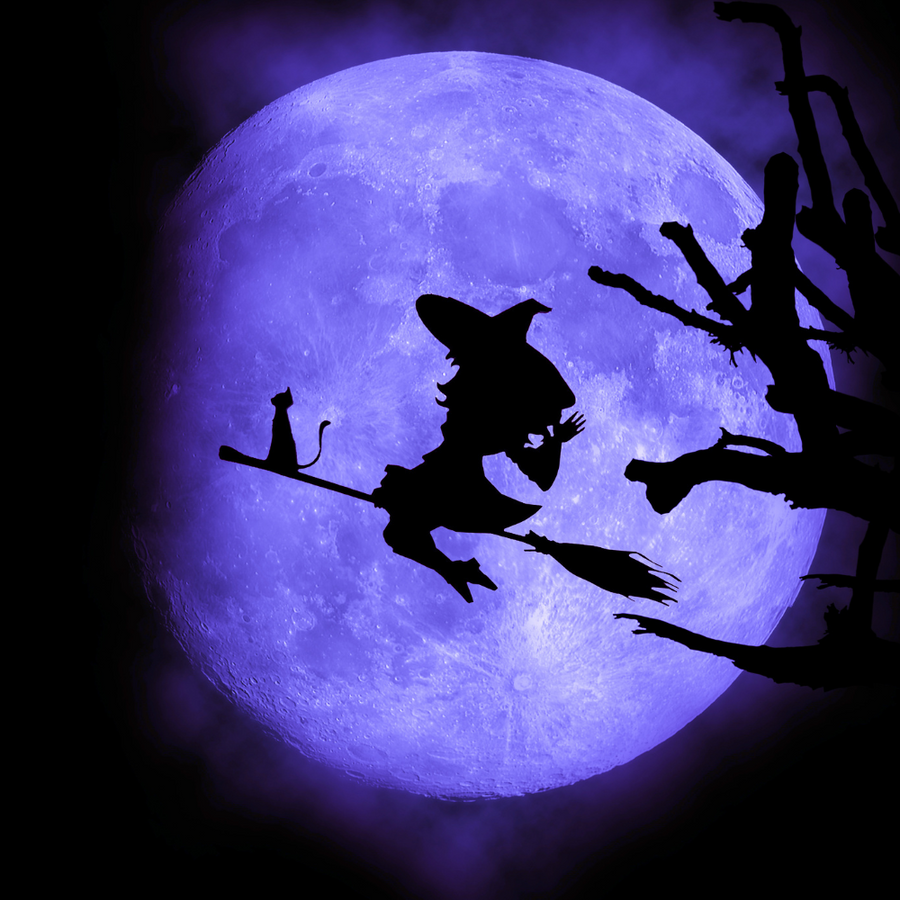 Halloween Collection