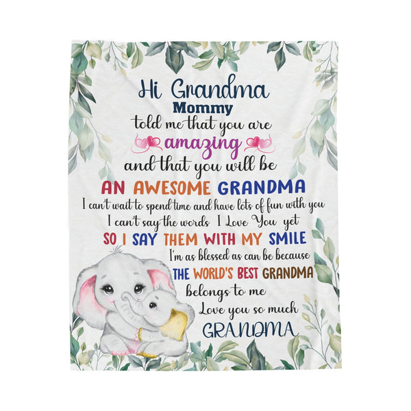 Hi Grandma - Mommy told me you were amazing - Velveteen Plush Blanket